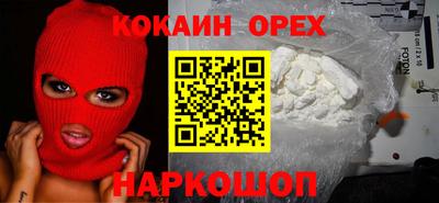 гидропоника Сланцы