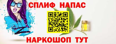 гидропоника Сланцы
