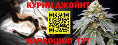 гидра Славгород