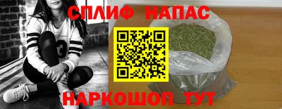 гидра Славгород