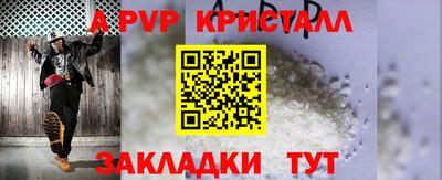 гидра Славгород
