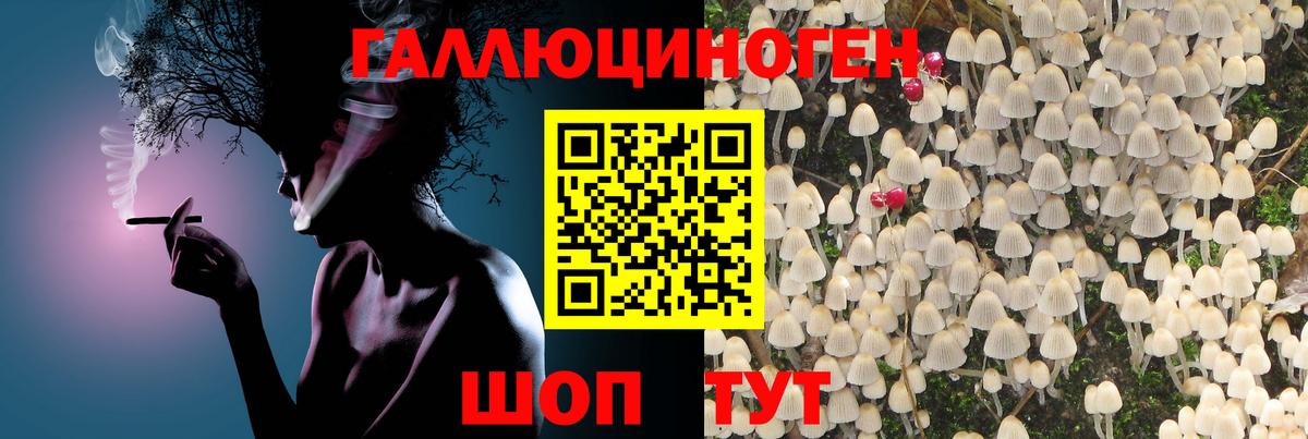 Павлово  Галлюциногенные грибы ЛСД  Вход с VPN 