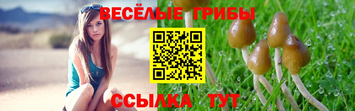 Галлюциногенные грибы ЛСД Павлово